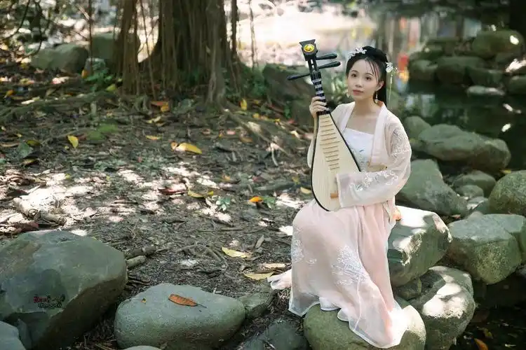 古风琵琶少女少琴