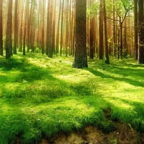 2023新图片简单干净有内涵的照片头像_微信头像_头像屋