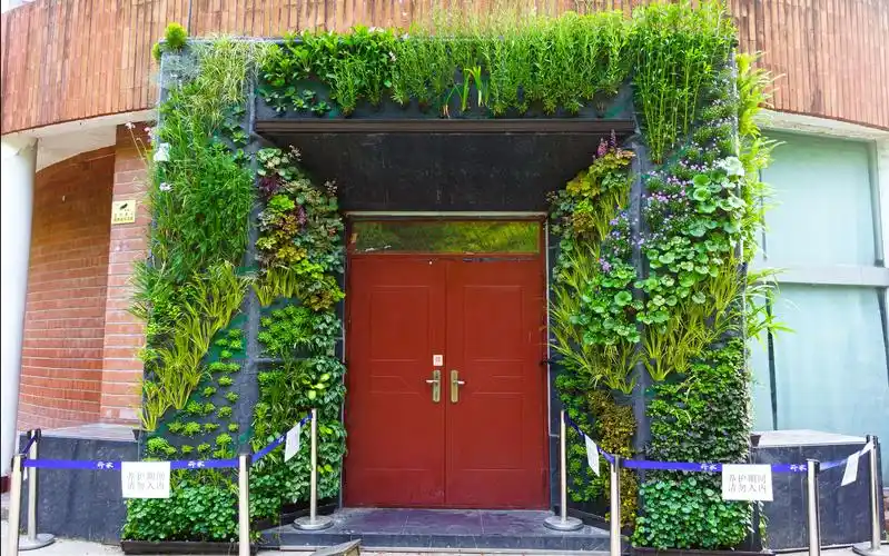 上海杨浦公园垂直花园vertical garden_哔哩哔哩_bilibili