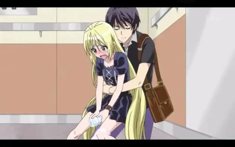 《弑神者》《樱花庄的宠物女孩》《刀剑神域》《游戏人生》《漫画家与