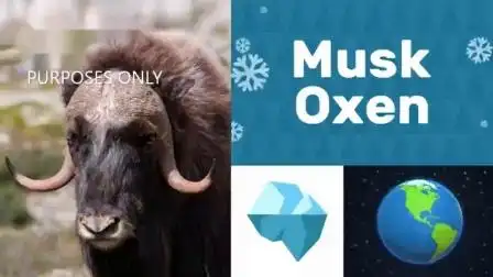 012_ar_muskox_麋牛_internalreview