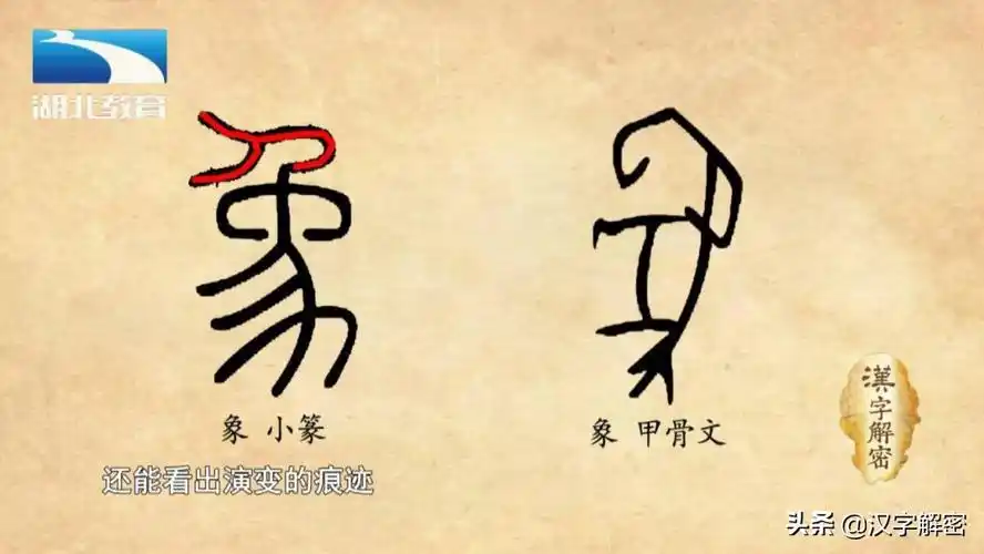 基本看不出是大象了,但是比照甲骨文的形体,还能看出演变的痕迹