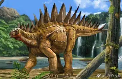 最原始的剑龙 太白华阳龙