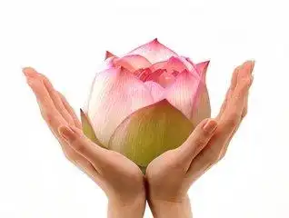 铁塔操手捧莲花操治疗颈椎病有奇效