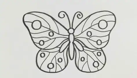 小蝴蝶的简笔画画法 简笔画图片大全-普车都