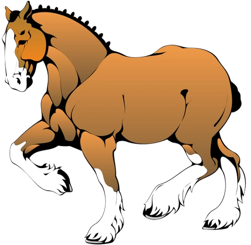 skinnyhorseillustration