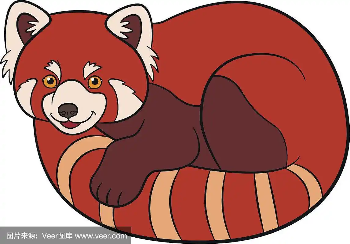 卡通野生动物.可爱的小熊猫.