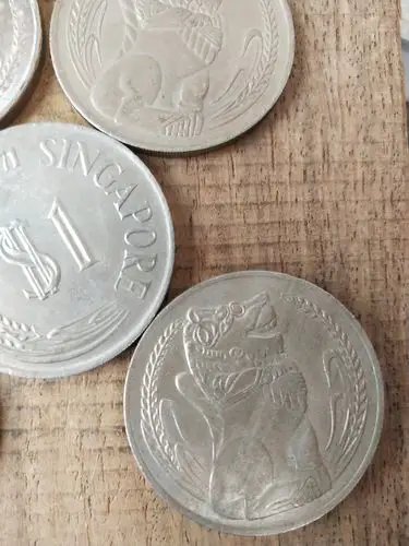 新加坡大一元5个