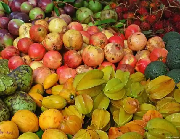 海南水果特产有哪些水果