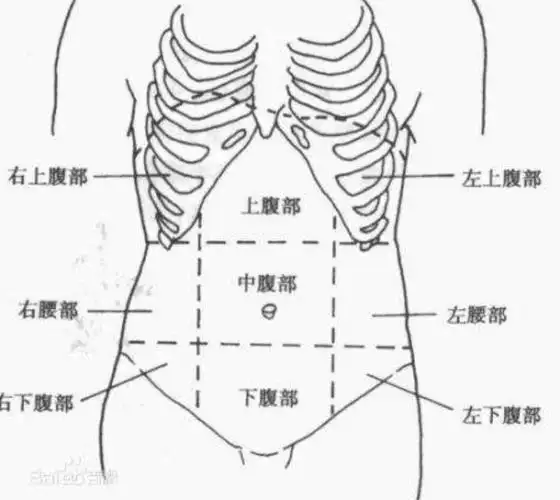 胆囊到底在哪里胆囊炎发作是哪里痛