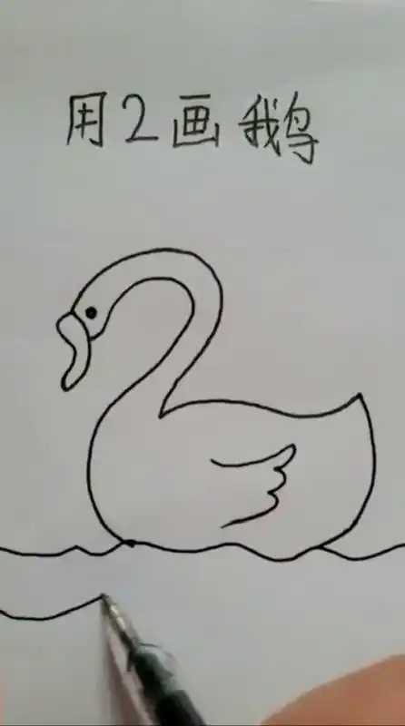 天鹅的简笔画法和步骤