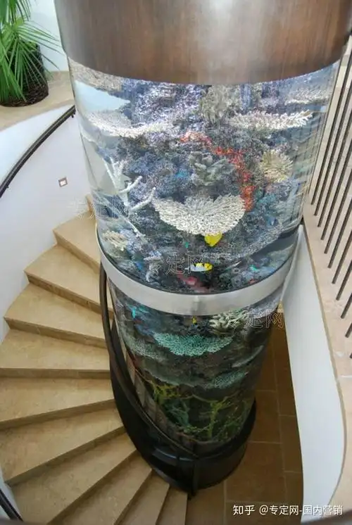 专定网大型鱼缸的种类有哪些