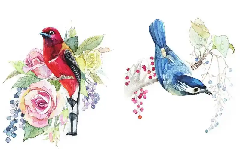 2.5 治愈系动物 - 森系水彩手绘插画教程:森林物语 - 知乎书店