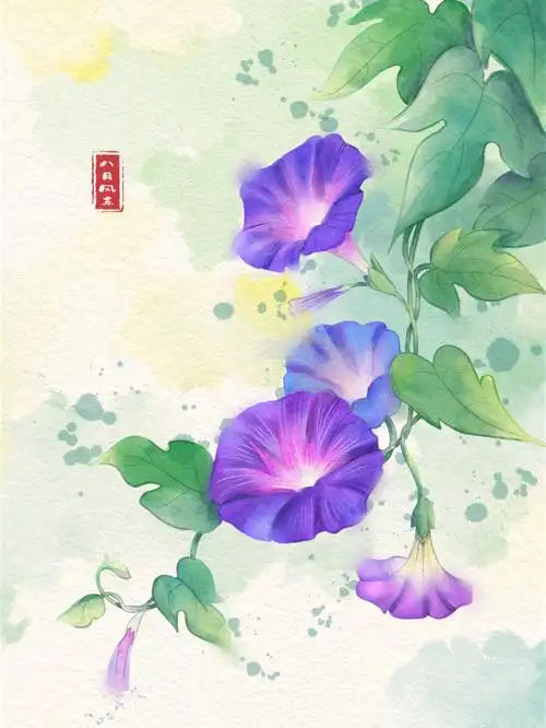牵牛花附线稿