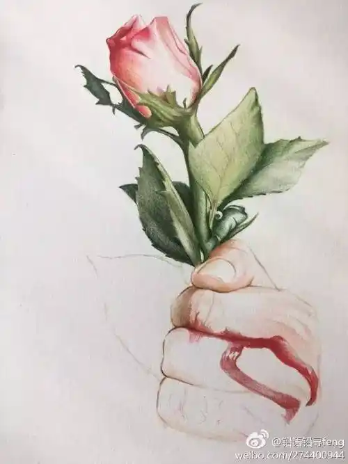 是玫瑰的刺刺痛了摘花人的手