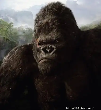 《指环王》里的gollum,《金刚》里的大猩猩,《阿凡达》里的纳威人,均