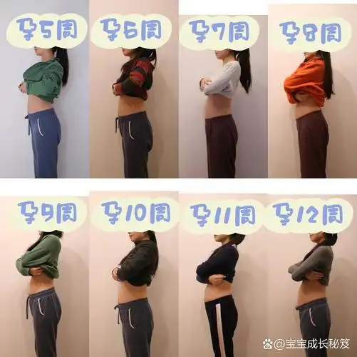 孕早期肚子变化 孕反