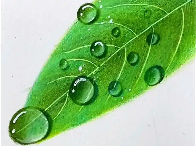 震惊!原来零基础这样学也能画这么好,专业教零基础画彩铅水滴