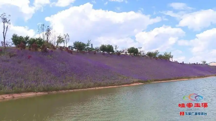 玉溪活发产业园里的活发小镇伴着暖风小编带大家一探究竟那里景色究竟