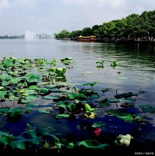 杭州西湖美景,人间仙境!西湖清宴不知回,一曲离歌酒一杯