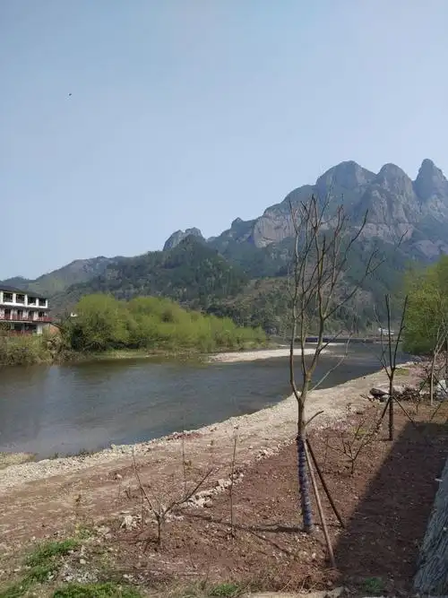 仙居淡竹乡春韵