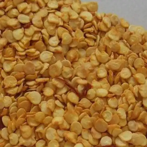 供应新一代辣椒籽辣椒