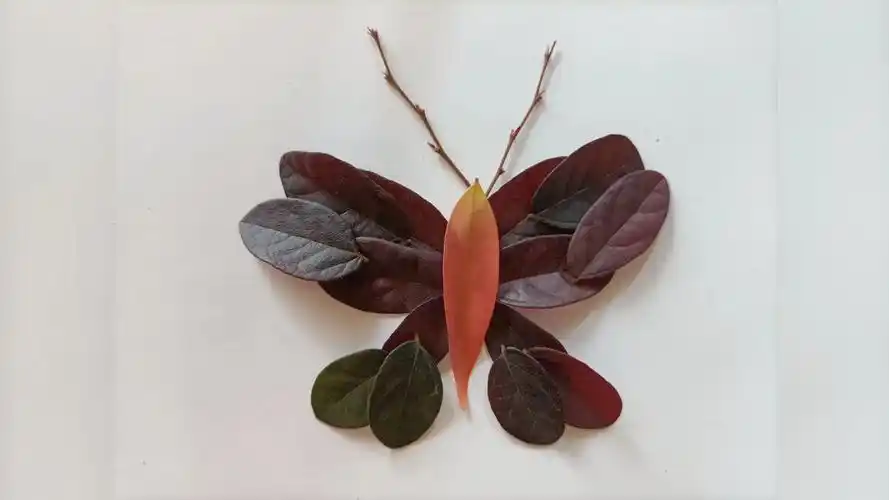 树叶拼贴画:蝴蝶