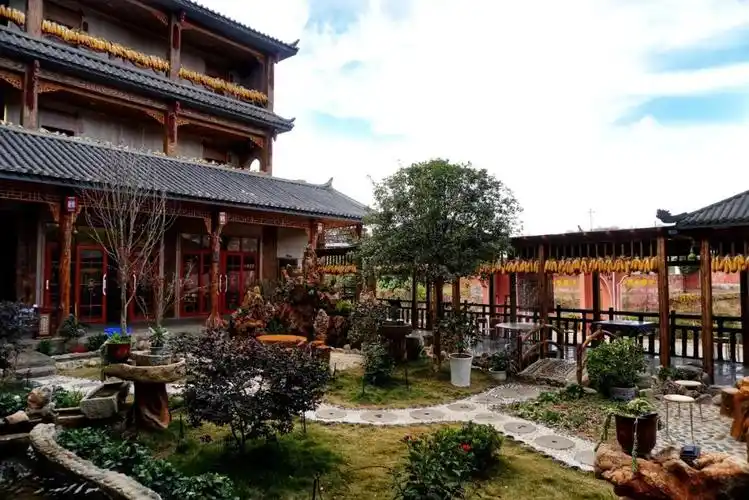 "新春走基层•乡村振兴看攀枝花"④| 冬樱花下听古乐,古风古韵融进