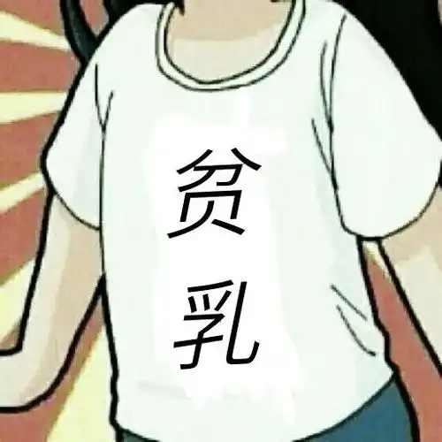 哪位大神有这个图片的同款,胸前写着贫乳的,或者会p