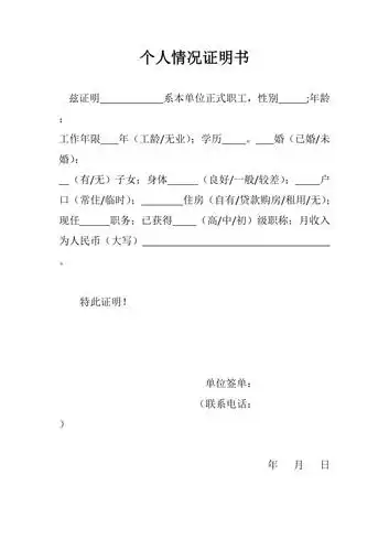 个人情况说明书