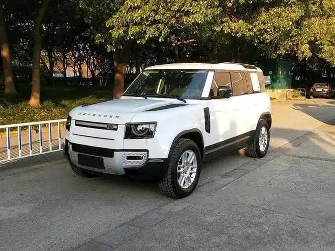 湖州2020年12月路虎卫士2020款110p400se白色手自一体