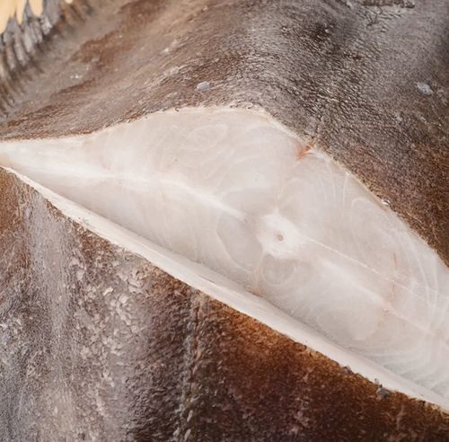 整条大鲽1100g1000g格陵兰比目鱼鱼头鲽鱼身深海鱼鲽鱼