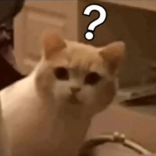 斗图表情包知道你是什么颜色吗你是乐色