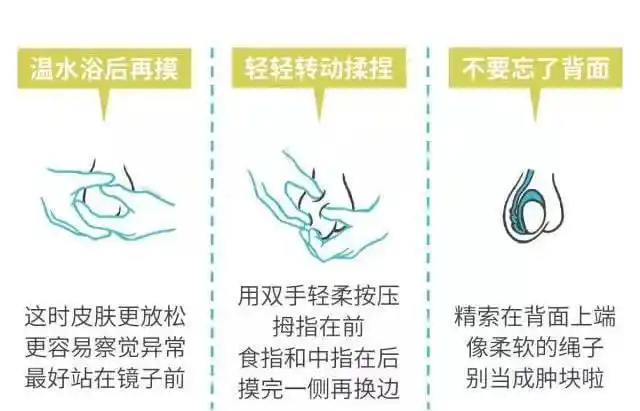 12岁男孩上厕所发现下体有异常 一查竟是癌症|睾丸|手术|隐睾|肿瘤