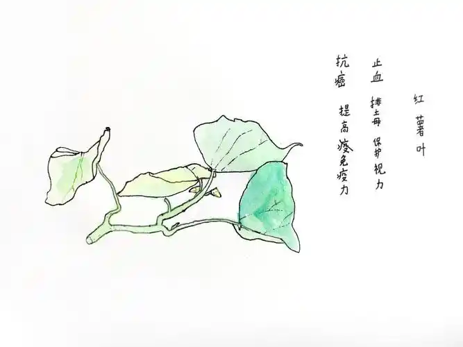 大象美艺李昕桐2018秋季作品展