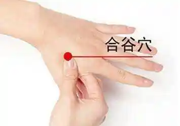 降血压可以不用吃药 按摩这两个穴道就能做到