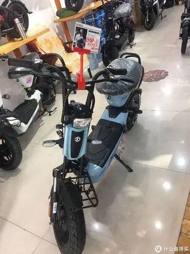 入手捷安特莫曼顿133d新国标电动车—全网第一晒_值客原创_第5页_什么