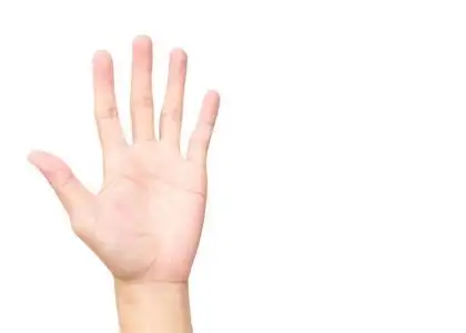 手掌放在种手手掌放在白色的背景与剪切路径照片