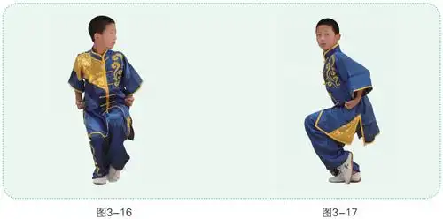 步型是指练习武术时静止动作的下肢形状.