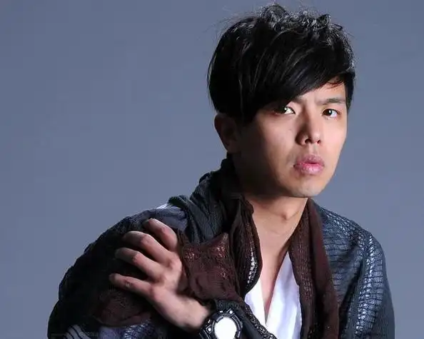 黄鸿升简介,黄力泓的简历是真的吗(关于黄鸿升)