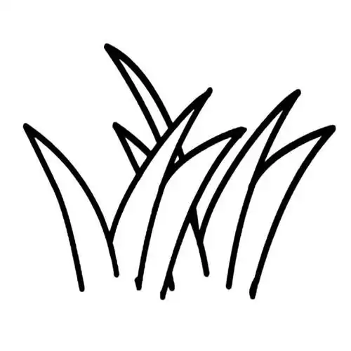 小草简笔画图片 小草怎么画