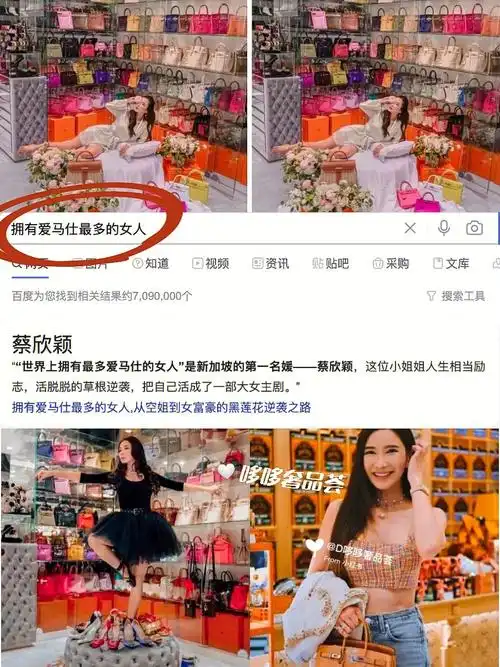 拥有全世界蕞多爱马仕的女人——蔡欣颖到底有多少爱马仕呢?