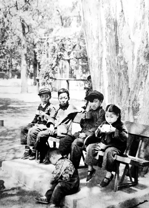 老照片:50年代城里孩子的幸福童年 玩泥巴的日子一去不复返_少年儿童