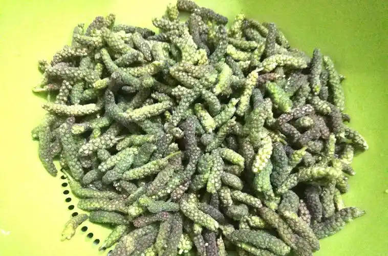 乡下这种野树叫构树浑身长满毛毛虫摘点做蒸菜特别美味