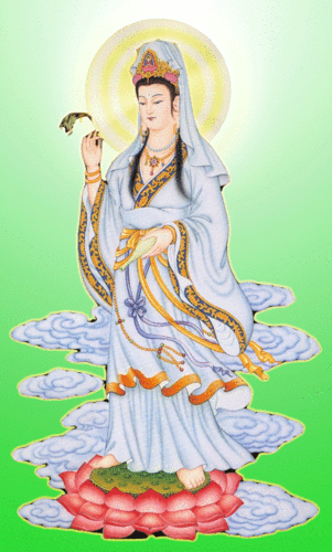 482_800竖版 竖屏gif 动态图 动图