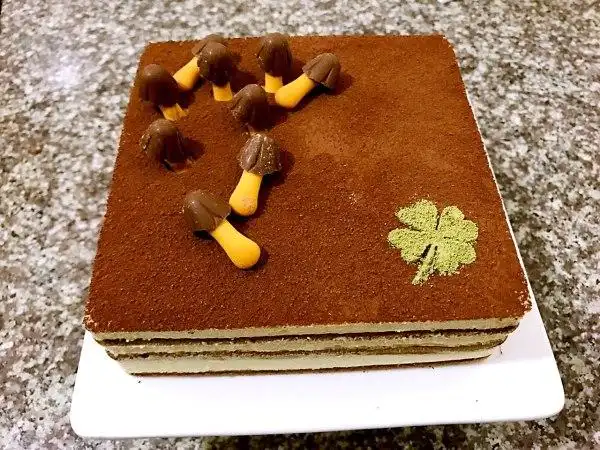 不完美的完美l做的提拉米苏蛋糕