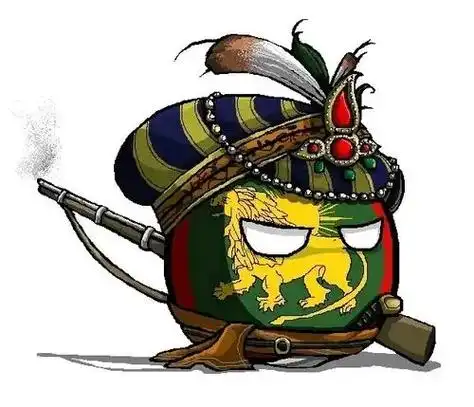 波兰球头像 - 国家与革命79 - 抖音