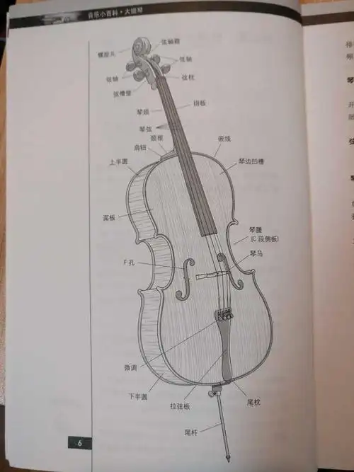 求教大提琴的结构名最好是有图解的那种?