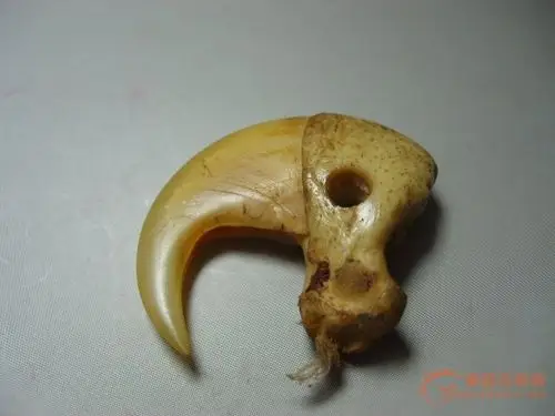 原装虎爪一枚