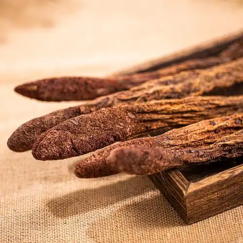 塞上烟雨 锁阳片 内蒙阿拉善整根锁阳 男性滋补 中药材批发可代发